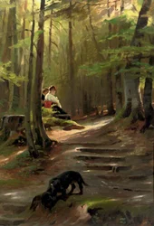 A Sunny Spot in the Woods